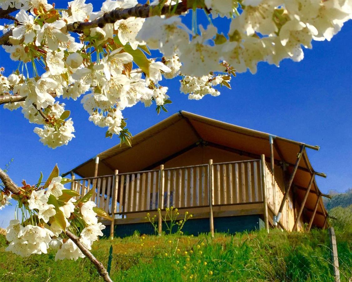 Villaladiva Boutique Glamping Massignano Exterior photo